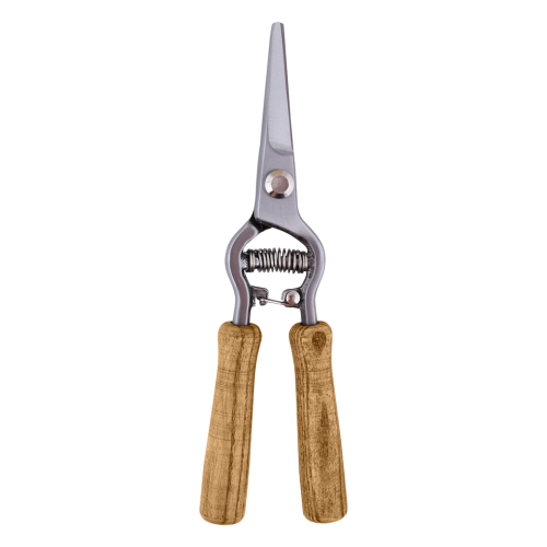7354_1.png