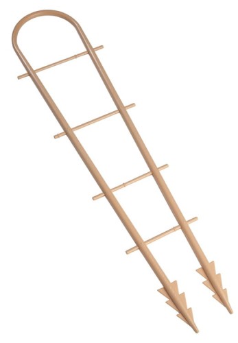 6957_1.jpg
