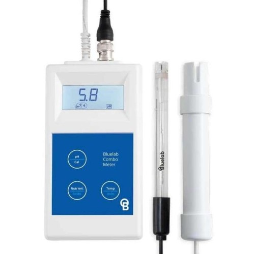 462_1.jpg