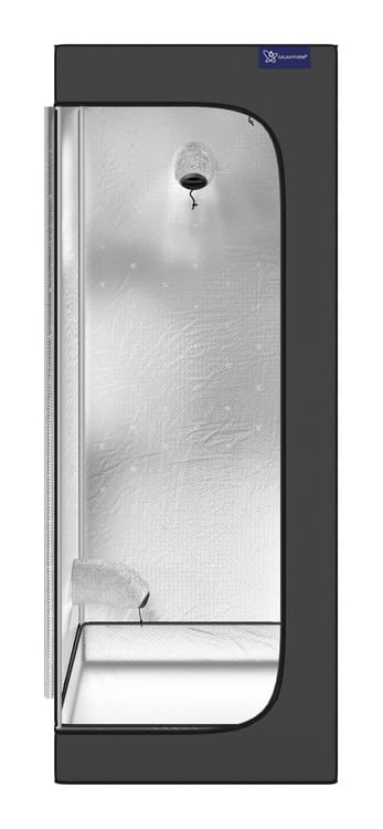 7081_2.jpg