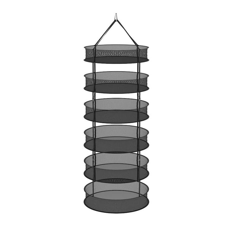 5900_1.jpg