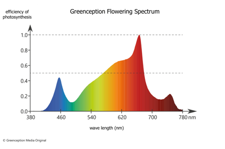 Greenception GC 9 288W