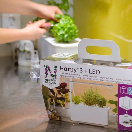 The Harvy 3 Grow Box - Pachet cadou