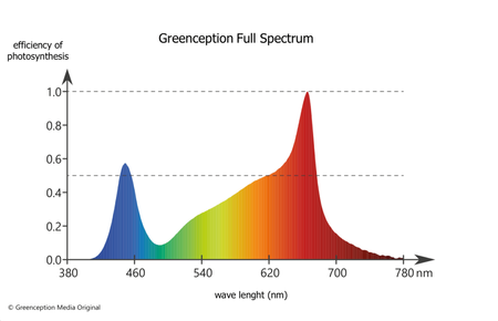 Greenception GC 16 Plus 700W