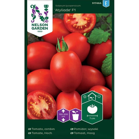 Eiertomate Atyliade F1