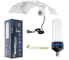 Zestaw  CFL Spectromaster 250W - Wzrost