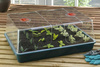 Garland XL High Dome Propagator 