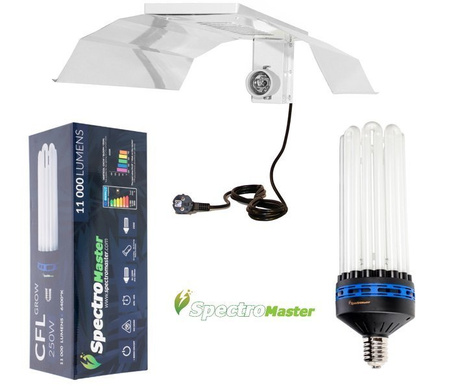 Zestaw  CFL Spectromaster 250W - Wzrost