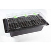 Nutriculture X-Stream Propagator 120