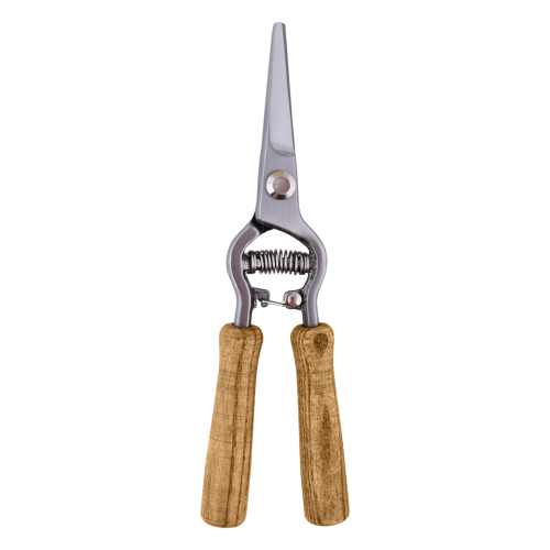 7354_1.png