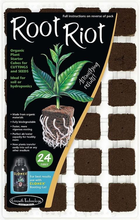3234_1.jpg