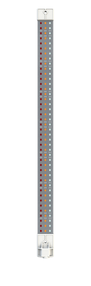5296_2.png