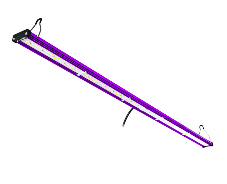 5886_1.png