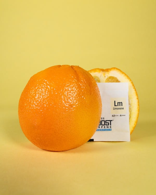 5949_3.jpg