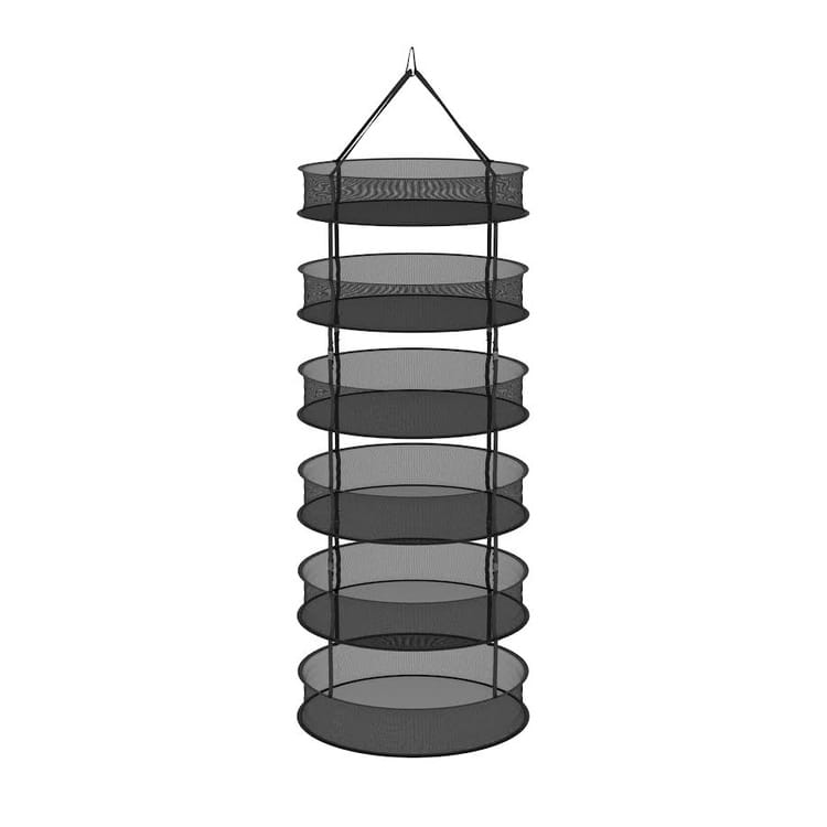 5900_1.jpg